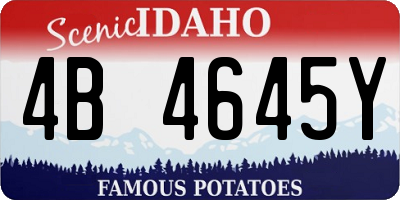 ID license plate 4B4645Y