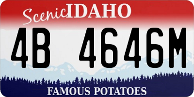 ID license plate 4B4646M