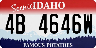 ID license plate 4B4646W