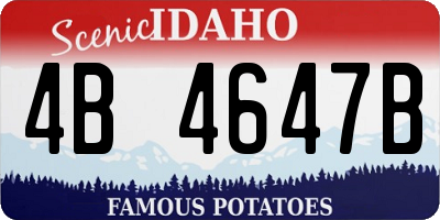 ID license plate 4B4647B