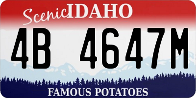 ID license plate 4B4647M
