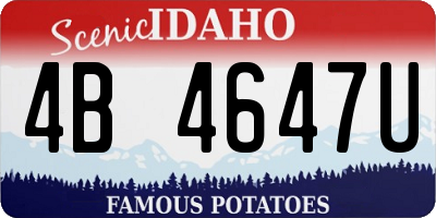 ID license plate 4B4647U