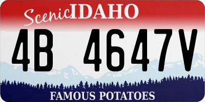 ID license plate 4B4647V