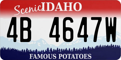 ID license plate 4B4647W