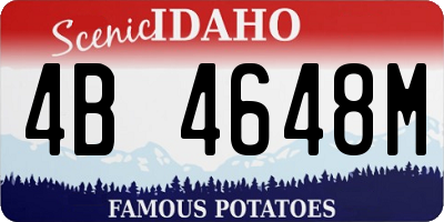 ID license plate 4B4648M