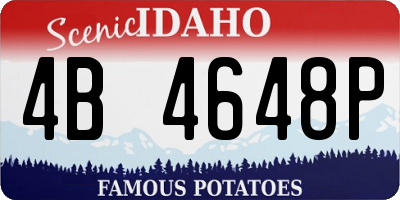 ID license plate 4B4648P