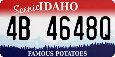 ID license plate 4B4648Q