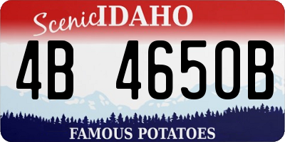 ID license plate 4B4650B