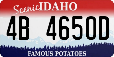 ID license plate 4B4650D
