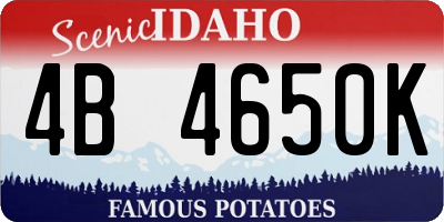 ID license plate 4B4650K
