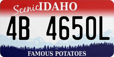 ID license plate 4B4650L