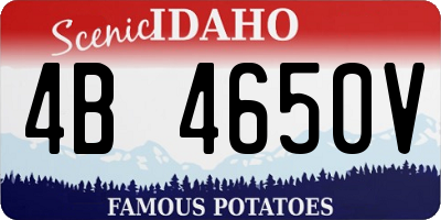 ID license plate 4B4650V