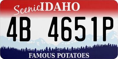 ID license plate 4B4651P