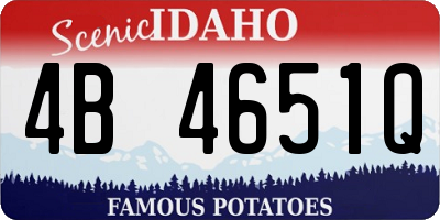 ID license plate 4B4651Q