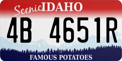 ID license plate 4B4651R