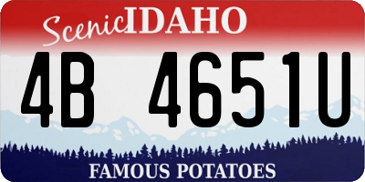 ID license plate 4B4651U