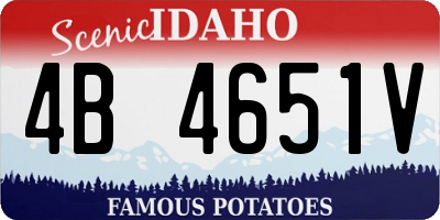 ID license plate 4B4651V