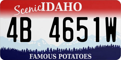 ID license plate 4B4651W