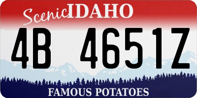 ID license plate 4B4651Z