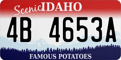 ID license plate 4B4653A