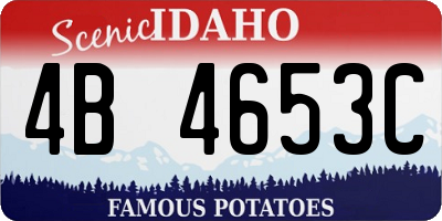ID license plate 4B4653C