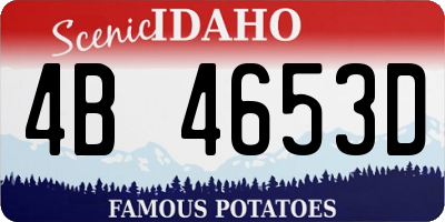 ID license plate 4B4653D