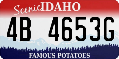 ID license plate 4B4653G