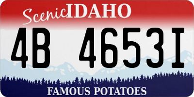 ID license plate 4B4653I