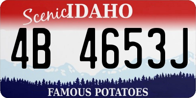 ID license plate 4B4653J