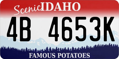 ID license plate 4B4653K