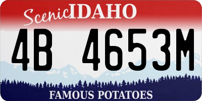 ID license plate 4B4653M