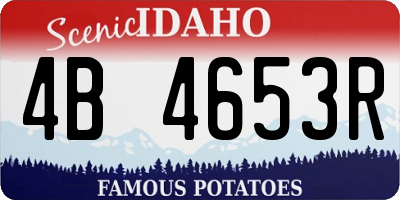 ID license plate 4B4653R
