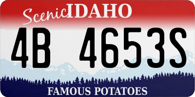 ID license plate 4B4653S