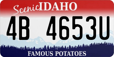 ID license plate 4B4653U