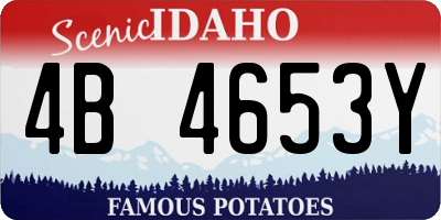 ID license plate 4B4653Y