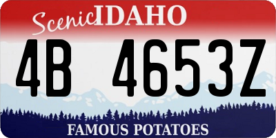 ID license plate 4B4653Z