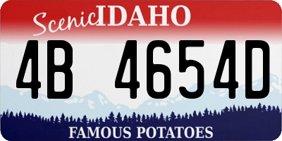 ID license plate 4B4654D