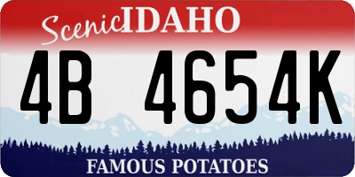 ID license plate 4B4654K