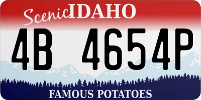 ID license plate 4B4654P