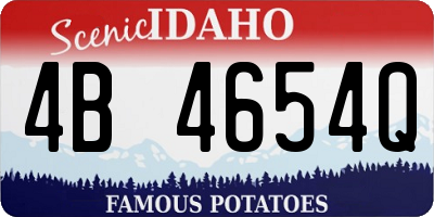 ID license plate 4B4654Q