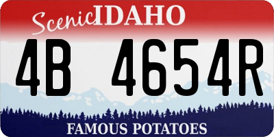 ID license plate 4B4654R