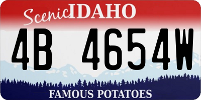 ID license plate 4B4654W