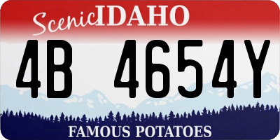 ID license plate 4B4654Y