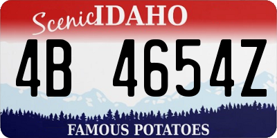 ID license plate 4B4654Z