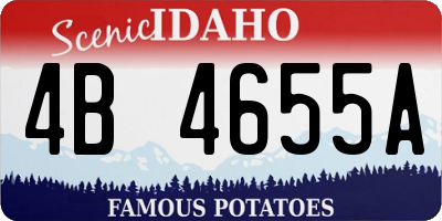 ID license plate 4B4655A