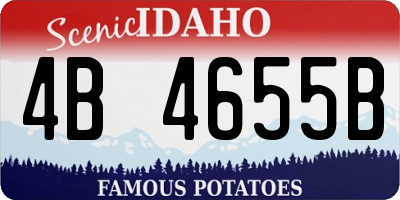 ID license plate 4B4655B