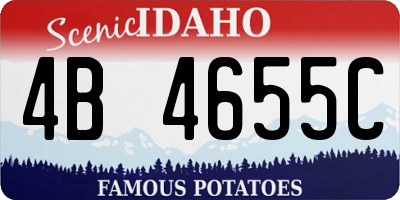 ID license plate 4B4655C