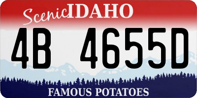 ID license plate 4B4655D
