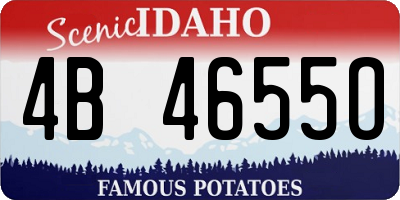 ID license plate 4B4655O