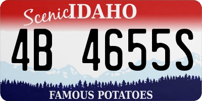 ID license plate 4B4655S